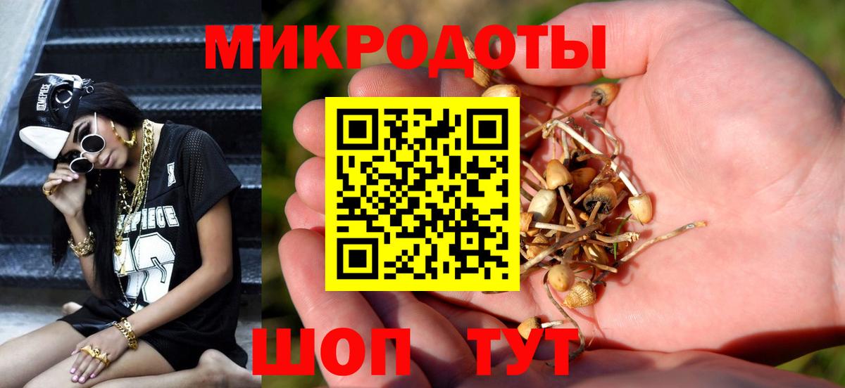 Тутаев  Галлюциногенные грибы Psilocybe  Вход с VPN  Галлюциногенные грибы прущие грибы 