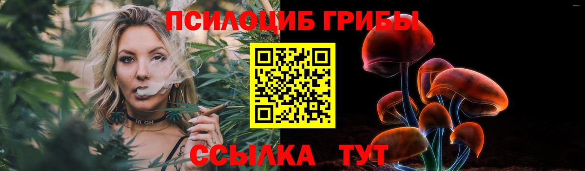 Галлюциногенные грибы мицелий Тутаев
